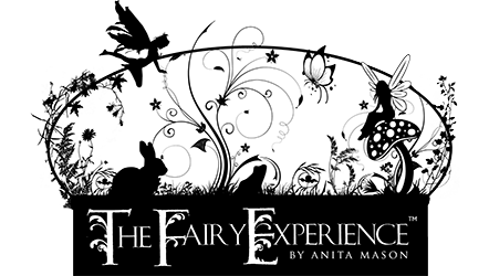 The Fairy Experience