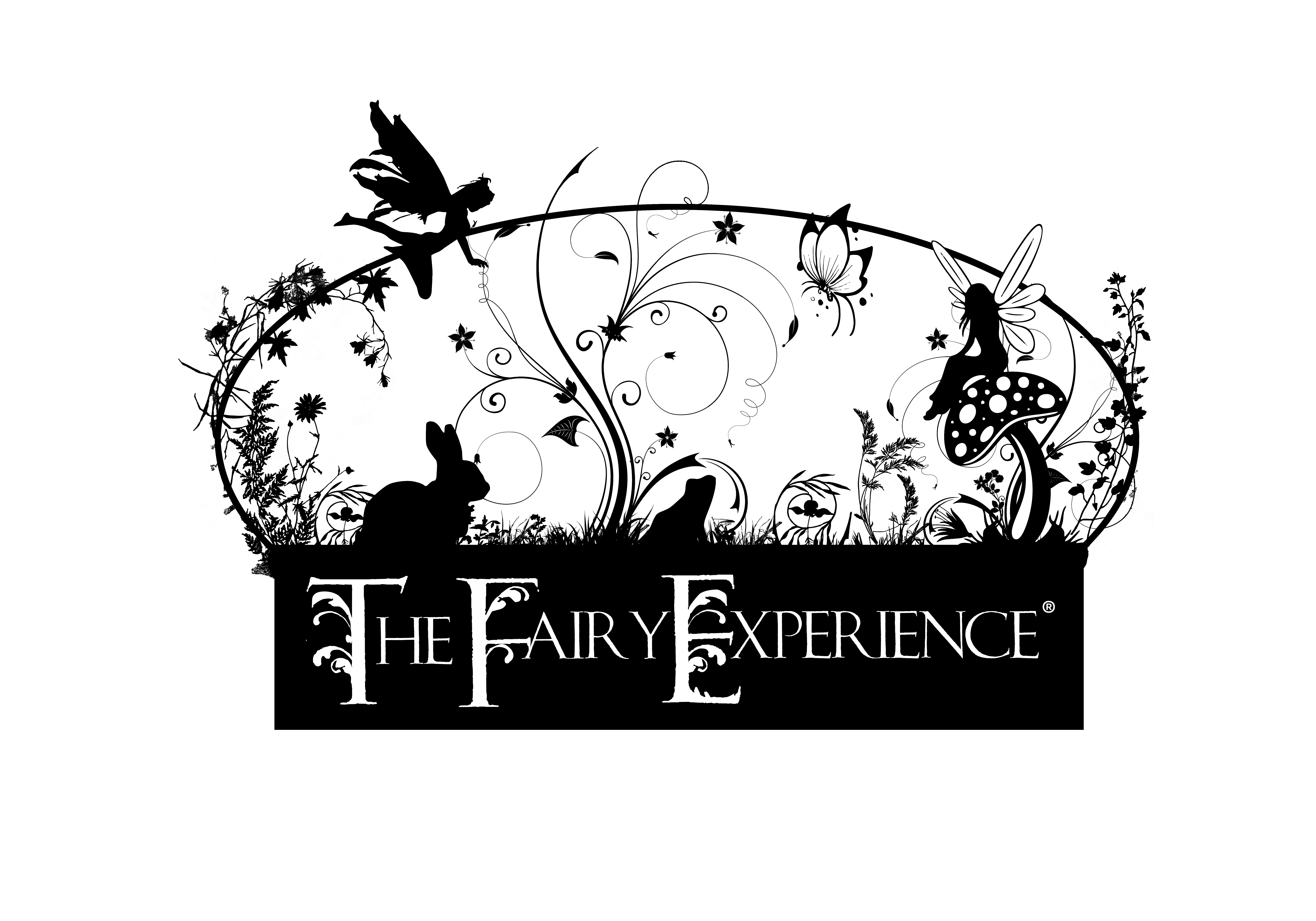 The Fairy Experience